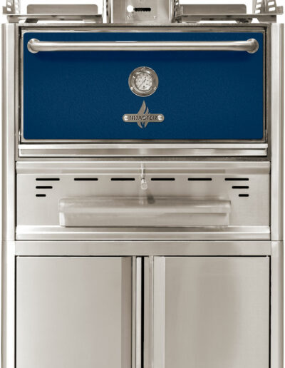 Roaster_forno_carbone_blu